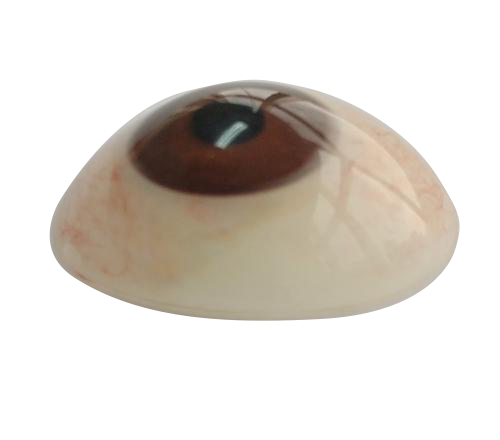 承德微雕义眼定制